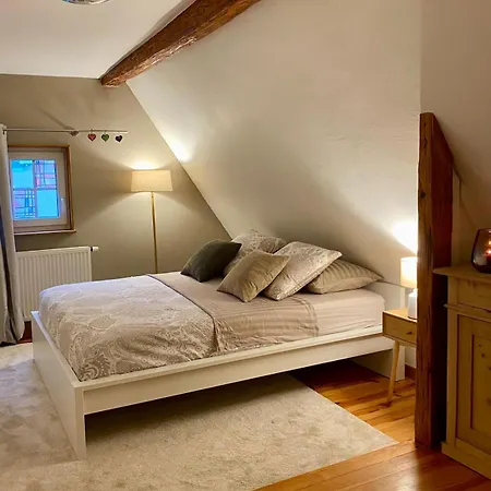 Maison Alsacienne Au Coeur De *