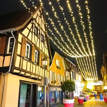 Maison Alsacienne Au Coeur De 펜션