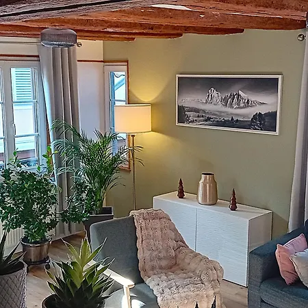 펜션 Maison Alsacienne Au Coeur De *
